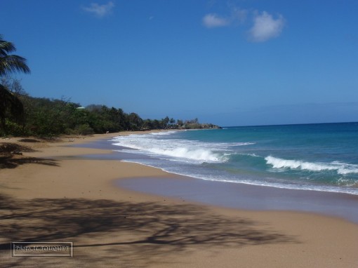 Guadeloupe, plage, La Perle, vue générale