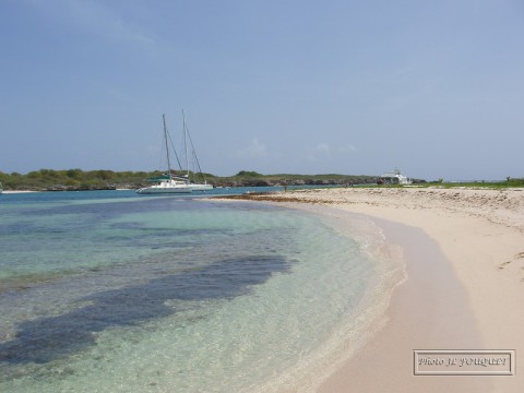 Guadeloupe, petite terre, plage, requins, passe, mouillage, terre de haut