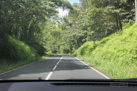 traversee, guadeloupe, route, basse terre, ecrevisses