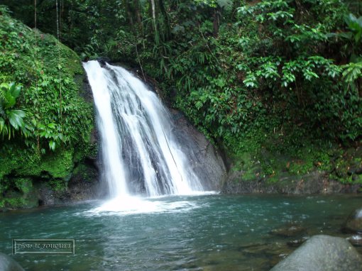 cascade ecrevisses, guadeloupe, petit bourg, basse terre, traversee