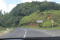 traversee, guadeloupe, route, basse terre, ecrevisses