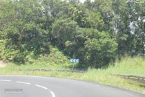 traversee, guadeloupe, route, basse terre, ecrevisses