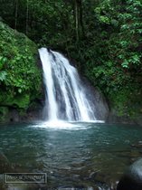 cascade ecrevisses, guadeloupe, petit bourg, basse terre, traversee