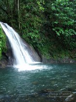 cascade ecrevisses, guadeloupe, petit bourg, basse terre, traversee