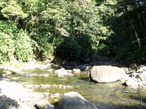 corossol, riviere, guadeloupe, traversee, basse terre, petit bourg