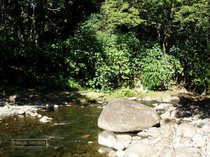 corossol, riviere, guadeloupe, traversee, basse terre, petit bourg