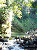 corossol, riviere, guadeloupe, traversee, basse terre, petit bourg