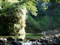 corossol, riviere, guadeloupe, traversee, basse terre, petit bourg