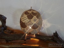 calebasse, guadeloupe, artisan, lampe