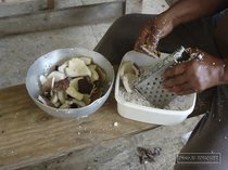 petit bourg, kassav, guadeloupe, coco, manioc