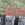 guadeloupe, desirade, beausejour, ville beausejour, maisons desirade