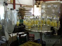 rhum, guadeloupe, distillerie, bologne